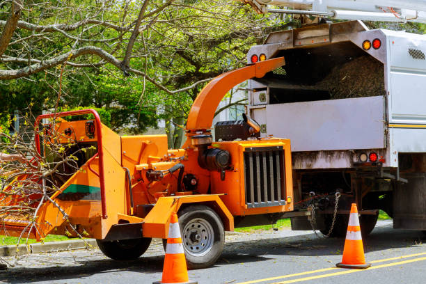 Best Affordable Tree Service  in Hawkins, TX